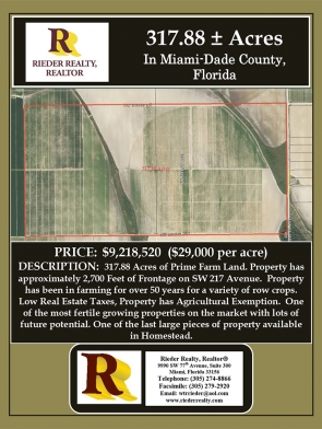 Brochure-for-317-Acres