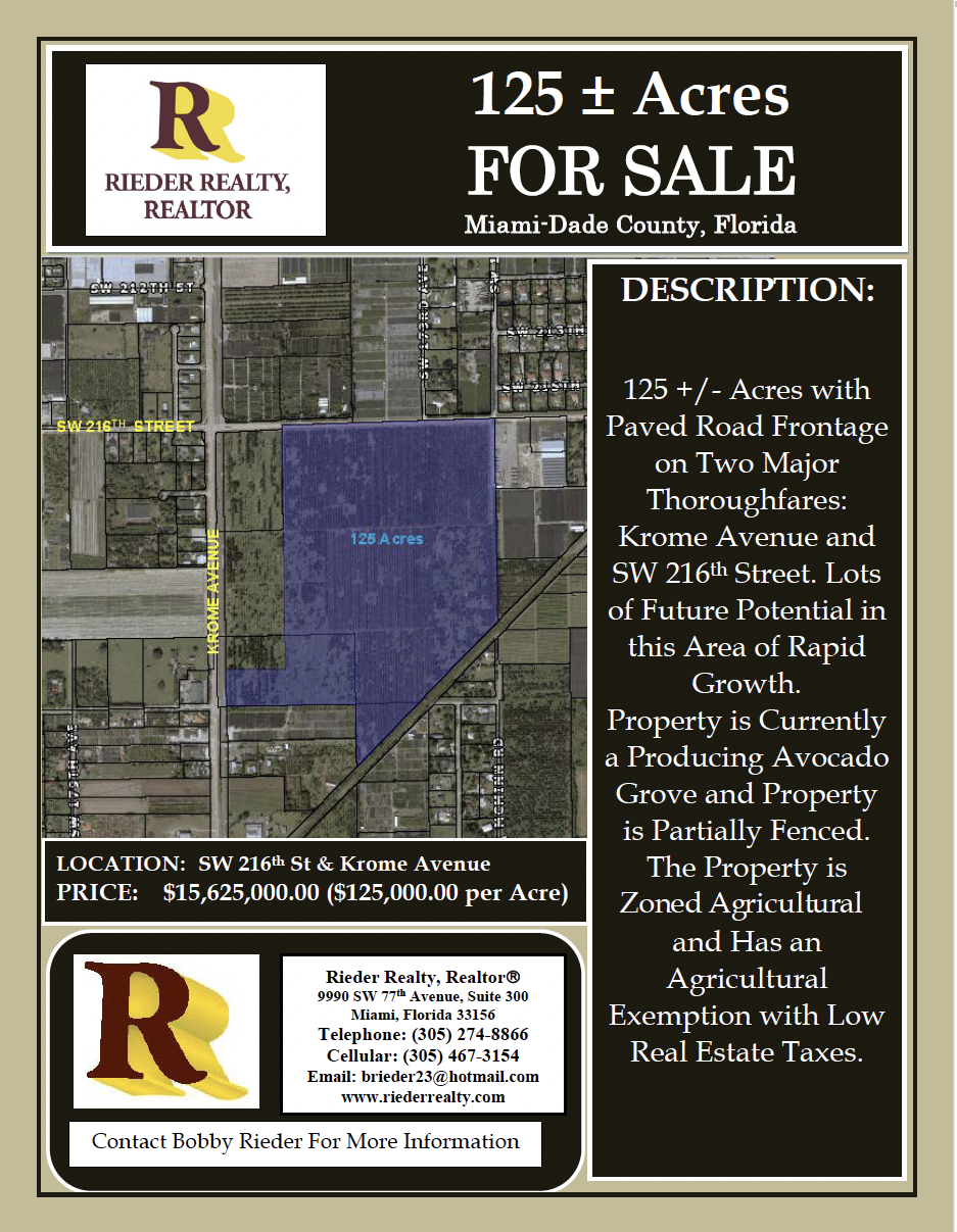 SW 216th St &amp; Krome Avenue - Rieder Realty